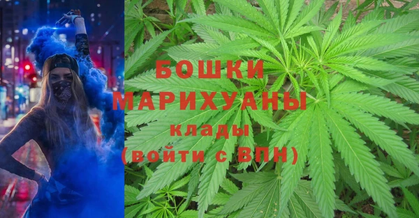 МДПВ Горнозаводск