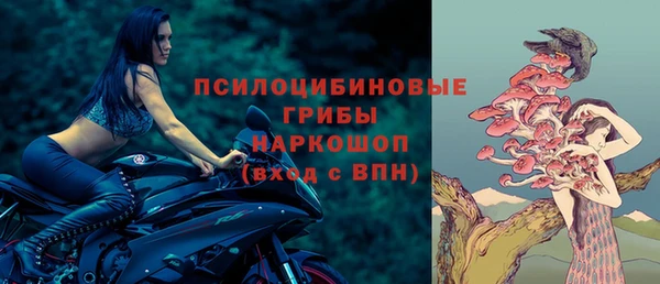 МДПВ Горнозаводск