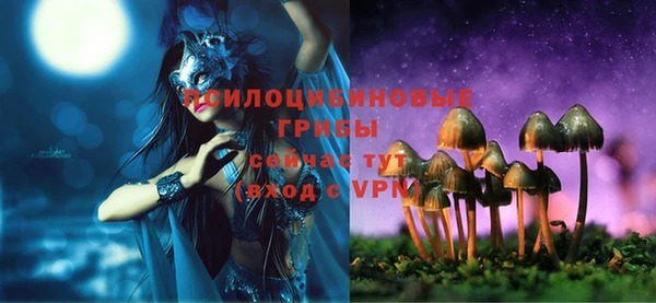 МДПВ Горнозаводск